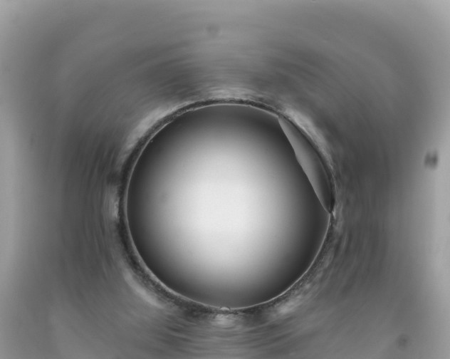 X0000092010060200709131544