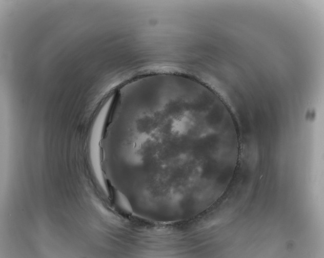 X0000092010063200709131544