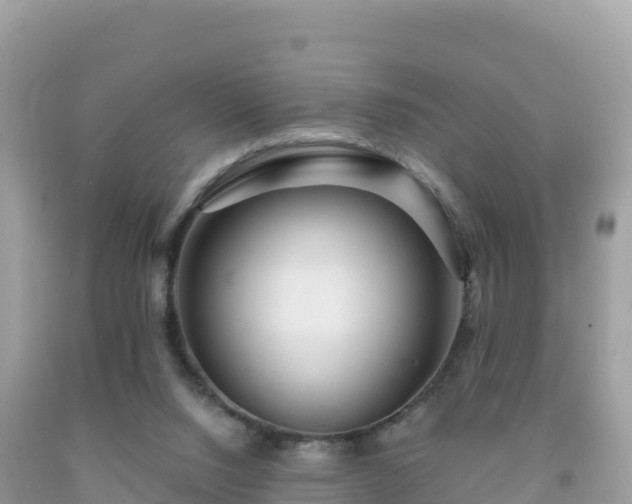 X0000092010064200709131544