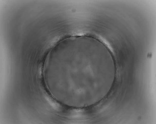 X0000092010065200709131544