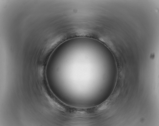 X0000092010066200709131544