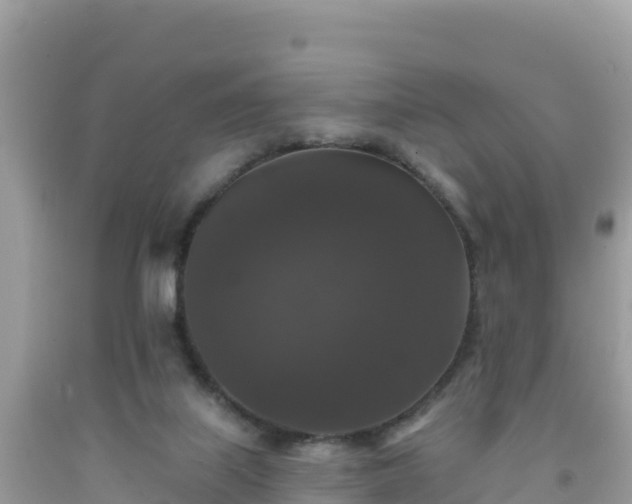 X0000092010067200709131544