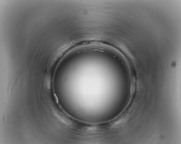 X0000092010068200709131544