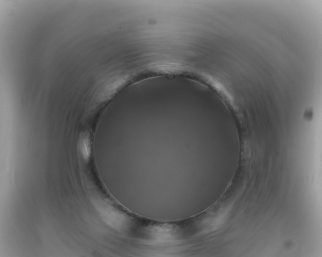 X0000092010069200709131544
