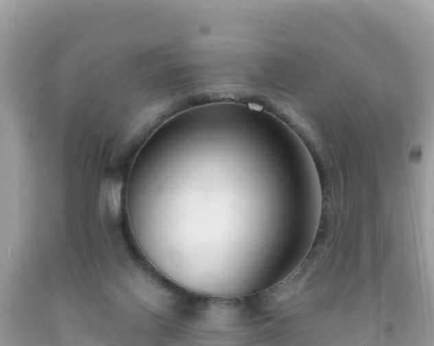 X0000092010070200709131544
