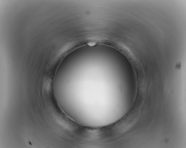 X0000092010071200709131544