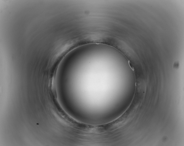 X0000092010072200709131544