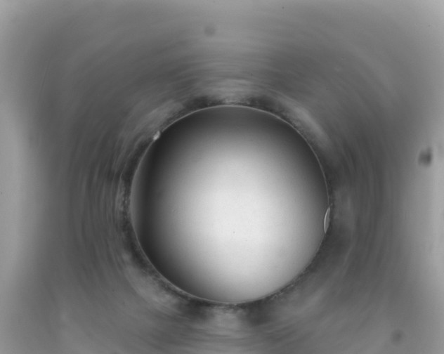 X0000092010073200709131544