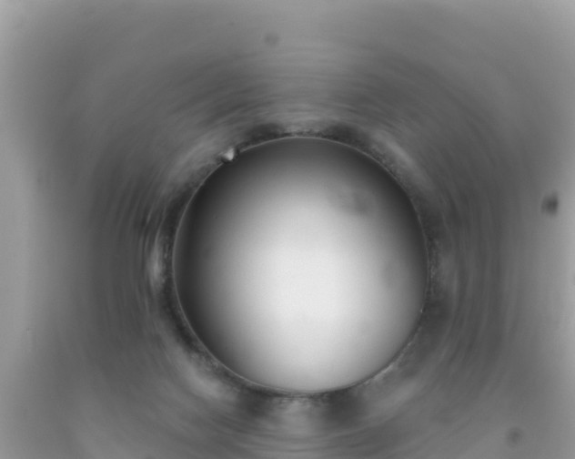 X0000092010074200709131544