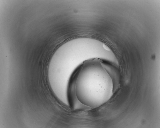 X0000092010075200709131544