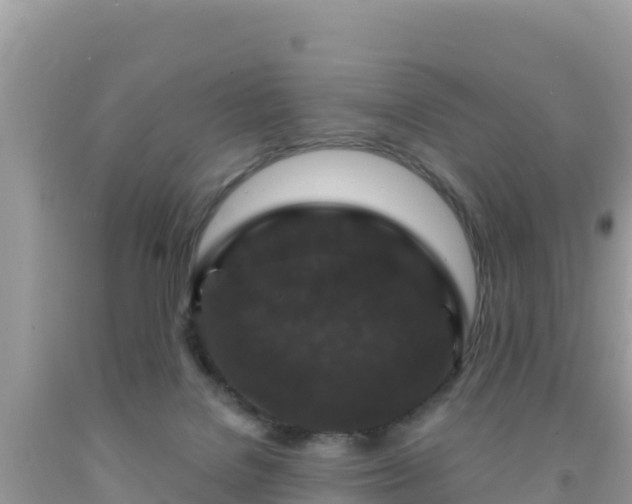X0000092010076200709131544