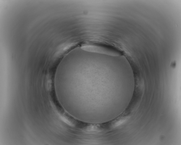 X0000092010080200709131544