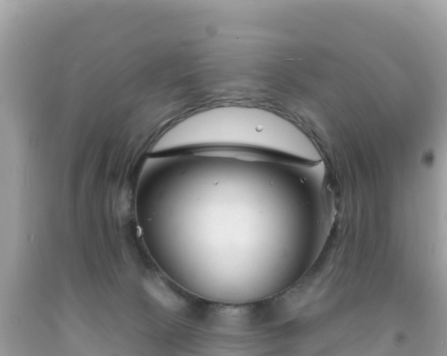 X0000092010081200709131544