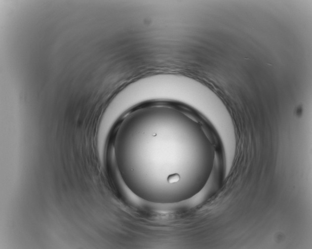 X0000092010084200709131544
