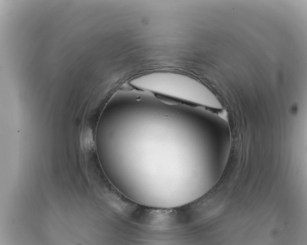 X0000092010089200709131544