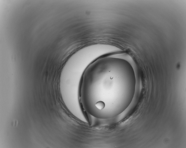 X0000092010092200709131544