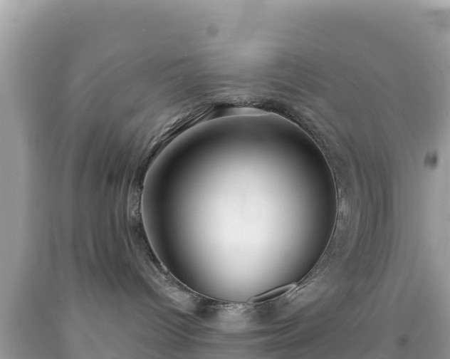 X0000092010096200709131544