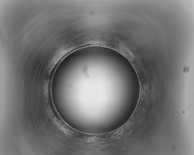 X0000092010098200709131543