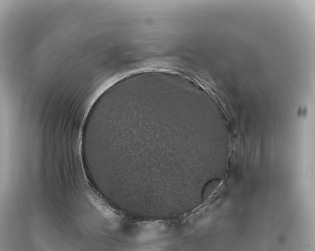 X0000092010100200709131543