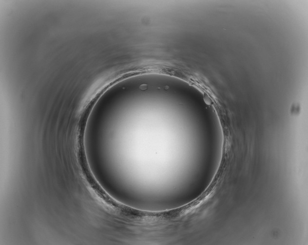 X0000092010101200709131543