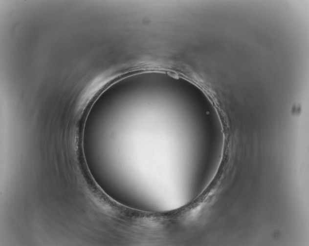 X0000092010103200709131543