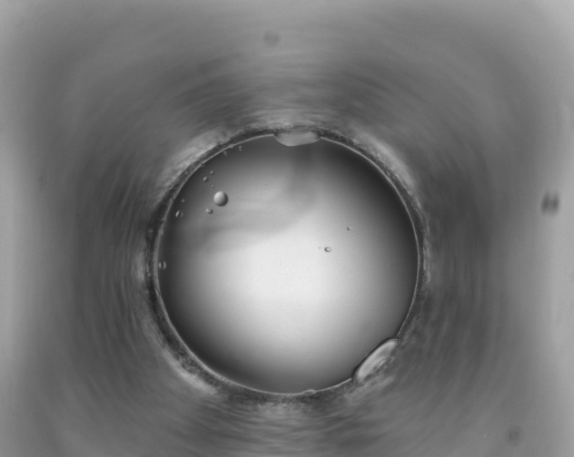 X0000092010105200709131543