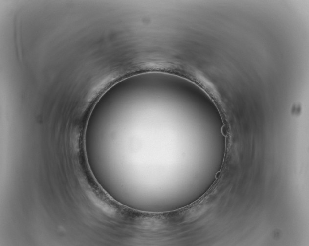 X0000092010106200709131543