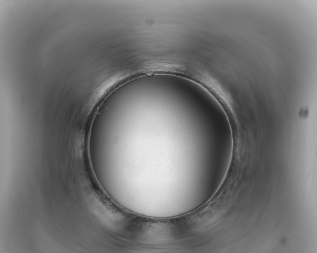 X0000092010107200709131543