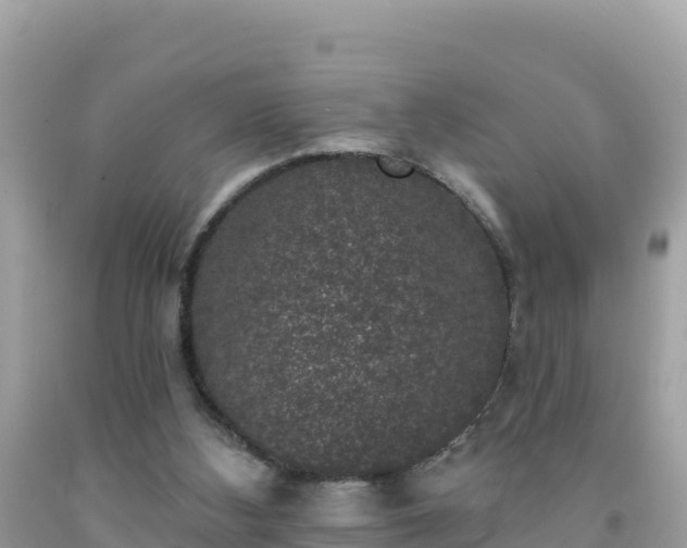X0000092010108200709131543