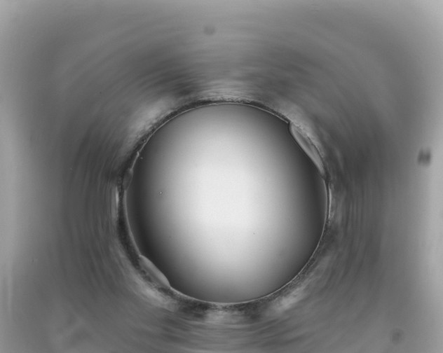X0000092010109200709131543