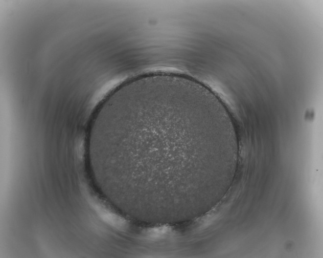 X0000092010112200709131543