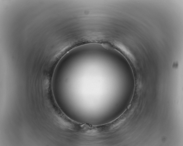 X0000092010113200709131543