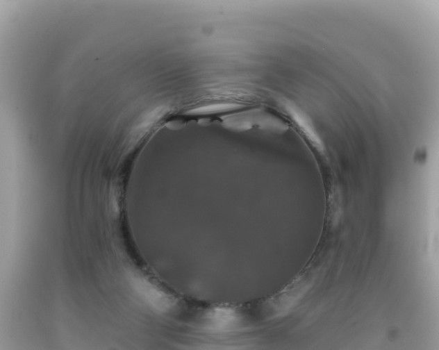 X0000092010114200709131543