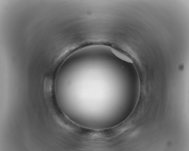 X0000092010115200709131543