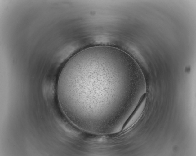 X0000092010116200709131543