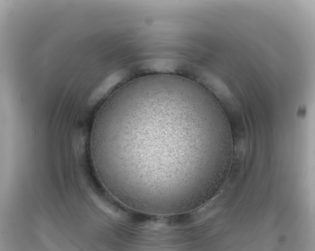 X0000092010120200709131543