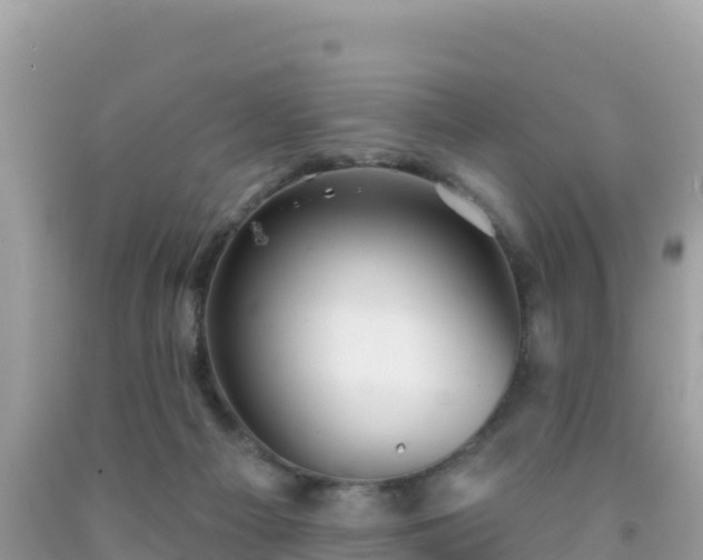 X0000092010121200709131543