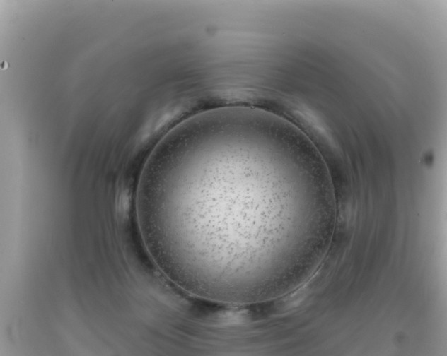 X0000092010124200709131543