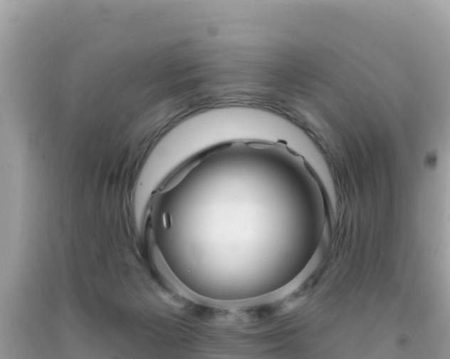 X0000092010125200709131543