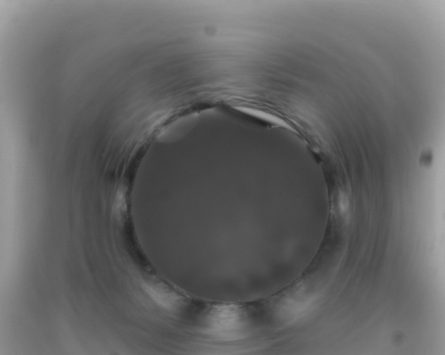 X0000092010127200709131543