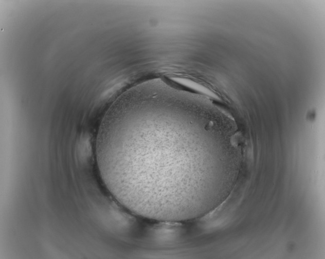 X0000092010128200709131543