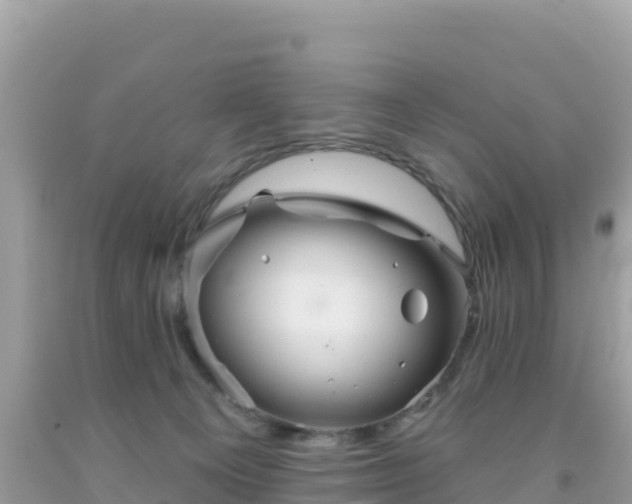 X0000092010129200709131543