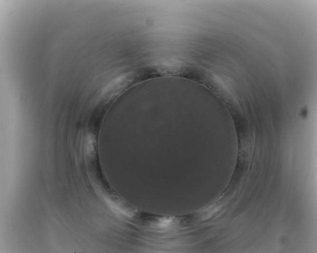 X0000092010130200709131543