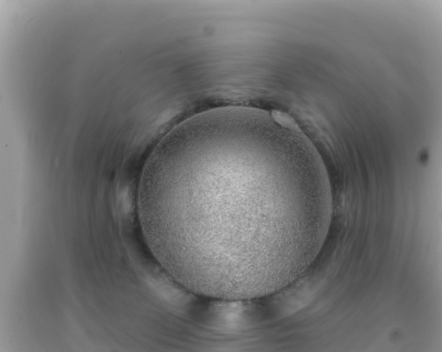X0000092010131200709131543