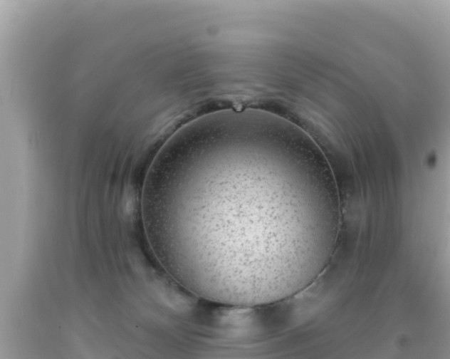 X0000092010132200709131543