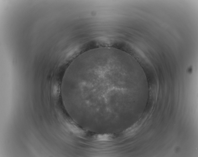 X0000092010134200709131543