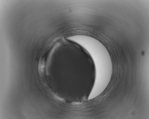 X0000092010137200709131543