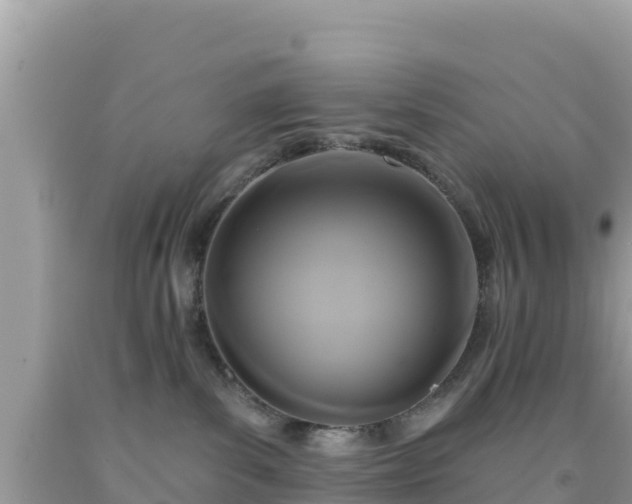 X0000092010139200709131543
