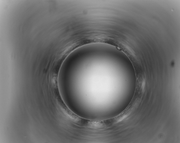 X0000092010141200709131543