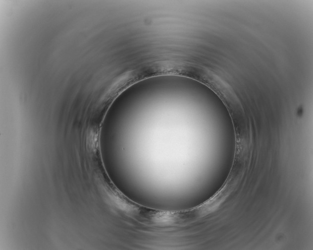 X0000092010142200709131543